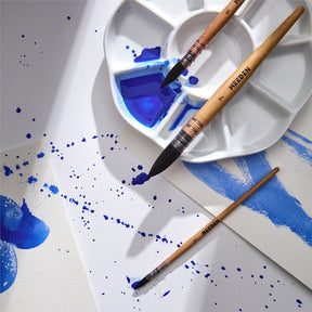 MEEDEN Solid Watercolor and Professional Brushes Set
