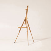 MEEDEN Tripod Plein Air Painting Easel with Carrying Case-W07E