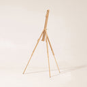 MEEDEN Tripod Plein Air Easel with Carrying Case-W07